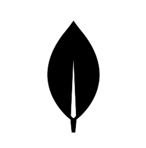 MongoDB